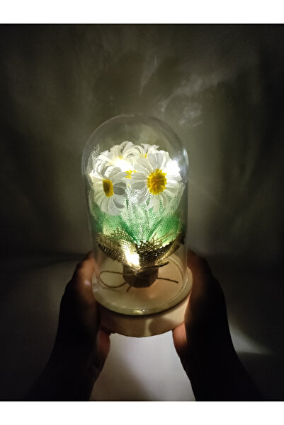 Kibele Sanat Dekoratif Ledli Beyaz Papatya Buketi Teraryum Fanus, Işıklı Hedi...