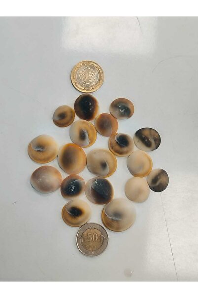 abena ΜΕΓΑΛΟ ΜΕΓΕΘΟΣ Πέτρα Καλαμποκιού 20 Τεμάχια