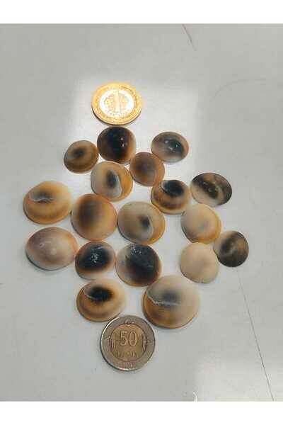 abena ΜΕΓΑΛΟ ΜΕΓΕΘΟΣ Πέτρα Καλαμποκιού 20 Τεμάχια