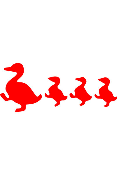 Birim Matbaa Ducks Auto Sticker(23X10Cm)