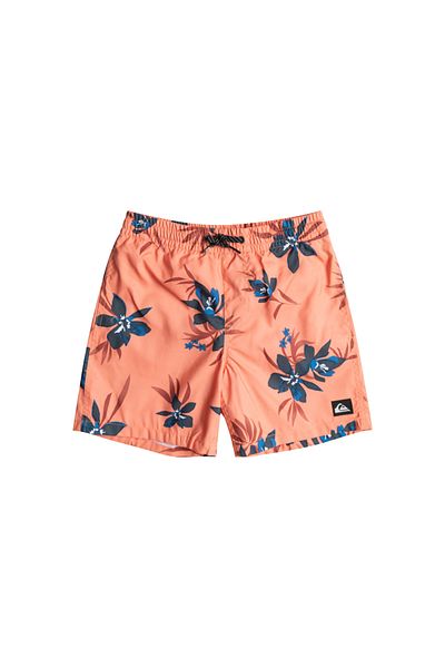Quiksilver Eqbjv03440-Mhv6 Mix 14 B Jamv Boy Shorts Swimsuit