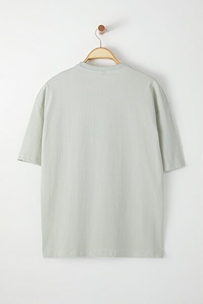 Trendyol Collection Šedé tričko s krátkým rukávem s výšivkou dinosaura - 100% TMNSS23TS00243