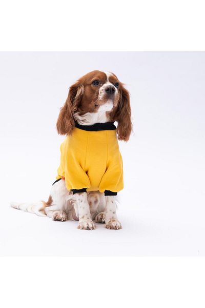 Pawstar Yellow Loviisa Sweat Cat Dog Sweat- Cat Dog Outfit