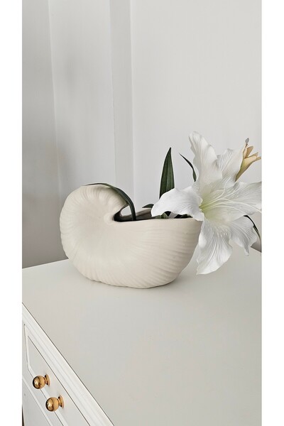 daimahome Seramik Bej Dekoratif Salyangoz Vazo