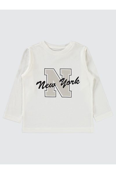 Civil Boys 2-5 Years Old Boy Gray 3-Piece Tracksuit Set