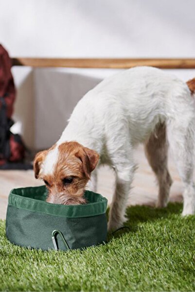 Tchibo كاتلانابيلير كوبيك كابي، يشيل