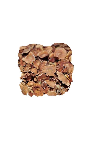 DVD Lokman Aktar 50 Gr Camel Base - Karaçalı (Pack-Plant) 1 Piece