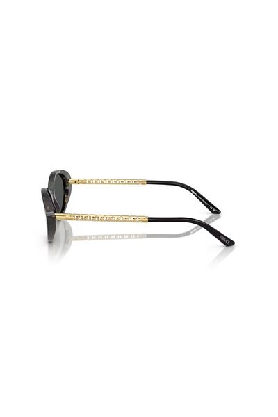Versace Versace 4469 Havana 54