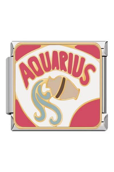RoseCo00 Aquarius Steel Italian Charm Bracelet Charm