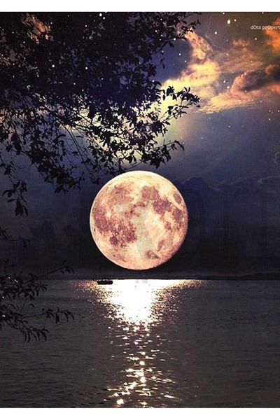 pixartsanat Moon Light 30*40 PixArt Art Diamond Mosaic Painting Diamond Turkey