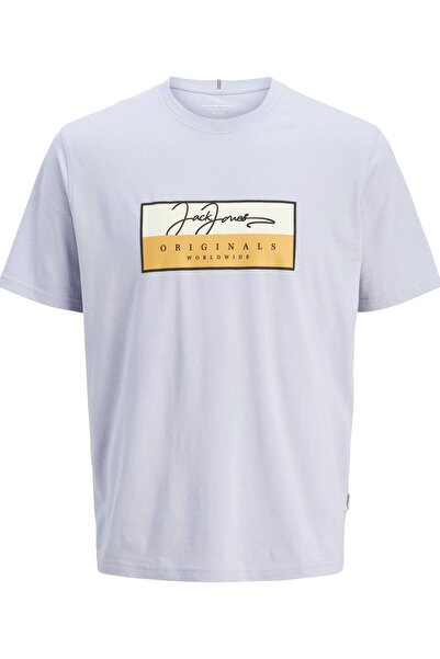 Jack & Jones JORFREDERIKSBERG BOX SCRIPT TEE SS CN LN