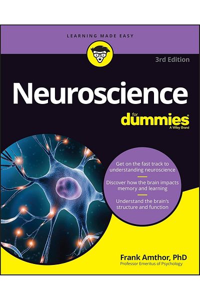 Kolektif Kitap Neuroscience for Dummies - Frank Amthor