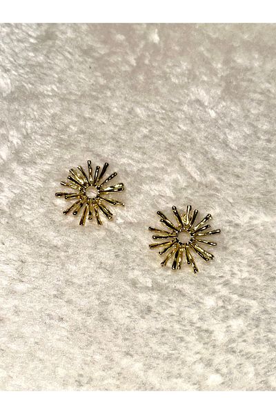 MODA Steel Gold Earrings