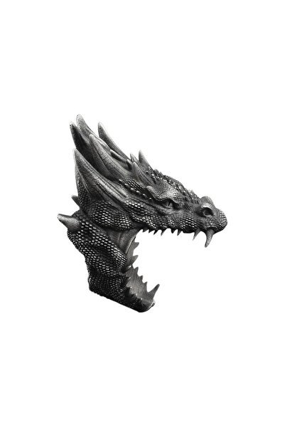 Bysilverstone Ejderha 925 Ayar Gümüş Erkek Yüzük