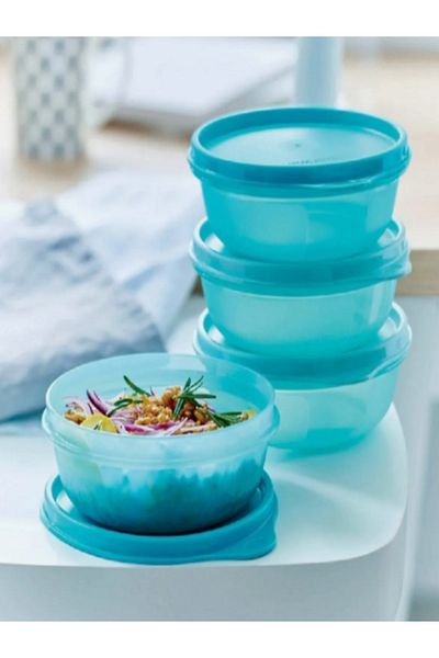 CANDAN TİCARET Tupperware Refrigerator Storage Containers Set of 4 (300 ml)