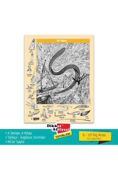 Dikkat Atölyesi Yayınları Hidden Pictures Gizli Resimler (4'LÜ SET) Saklı Nesneler Ara Bul Etkinlikleri