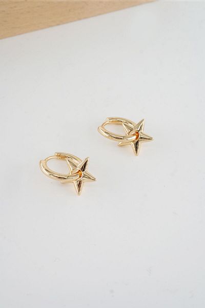 By Zeyna Aksesuar Women's Vip Series 316 L Steel Antiallergic 2.5cm Star Model Earrings