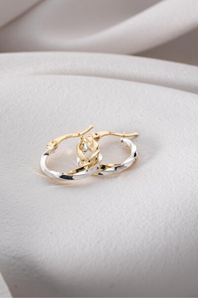 Nereze 925 Ayar Gümüş Çift Renk Burgu Şarnel Küpe