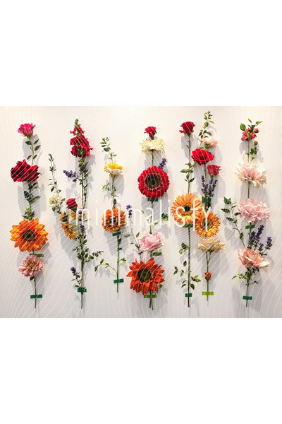 Minimalisfy Renkli Çiçeklerle Dolu Bir Arka Plan; 200x150cm; Stüdyo Fonu