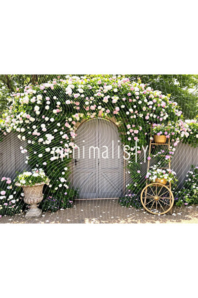 Minimalisfy Renklerle Dolu Bahçe Arka Plan 200x150cm, Stüdyo Fonu