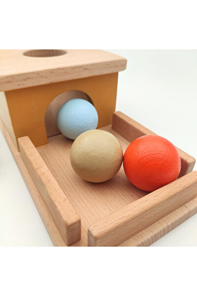 Dodo Montessori Montessori Süreklilik Kutusu