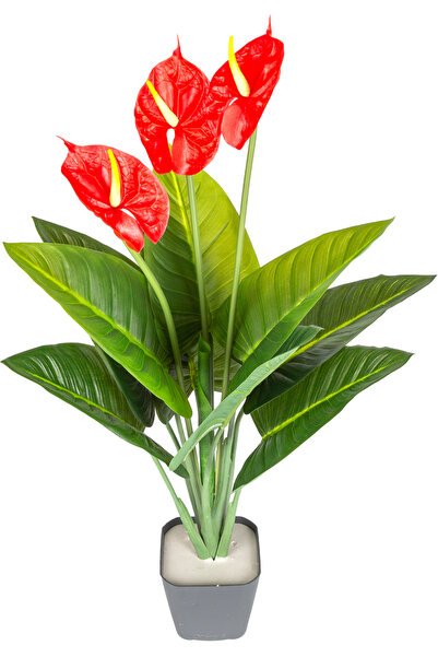 Herdekora Yapay Antoryum-Flamingo Çiçeği 10 Yaprak 3 Çiçekli Yeşil-Kırmızı 70...