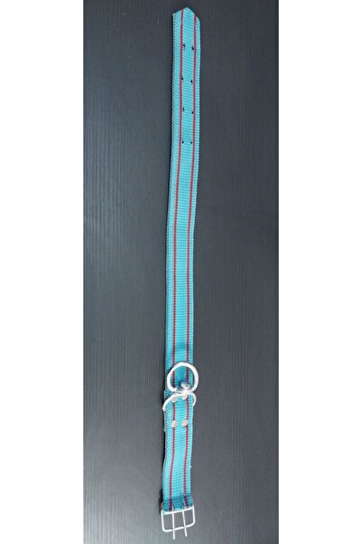 AMORE Turkuaz Güçlü Kangal Köpek Boyun Tasması 70-84cm