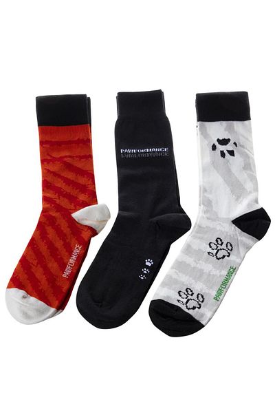Biggdesign Hunde-Socken-Set für Kinder