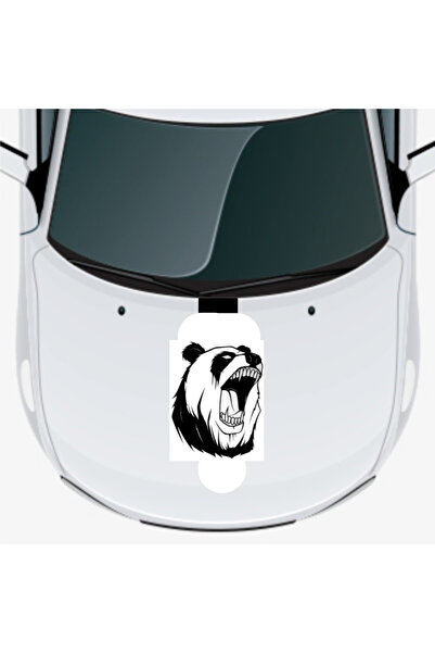 Bilge Sea ملصق بونيه تلقائي على شكل دب مقاس 40 × 48 سم