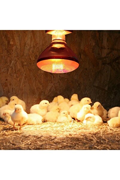 İnfrared Tnyvet Tanay Kızılötesi Isıtıcı Lamba Ampul / 3 Adet