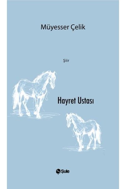 Destek Yayınları Hayret Ustası