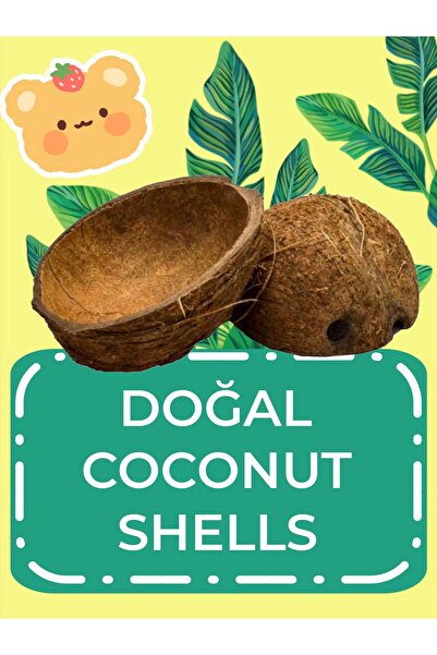 Akvaryum Japon Balıgı için Coconut Dekoru Kalsiyum ve pH Dengesini Artırır. A...