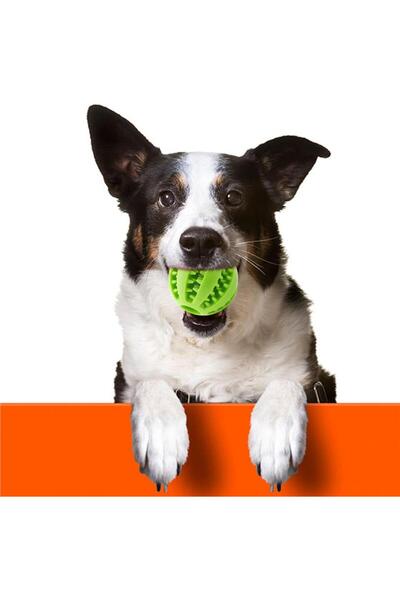 omilife Mama Hazneli Köpek ve Kedi Eğitim Ve Oyun Topu Turuncu