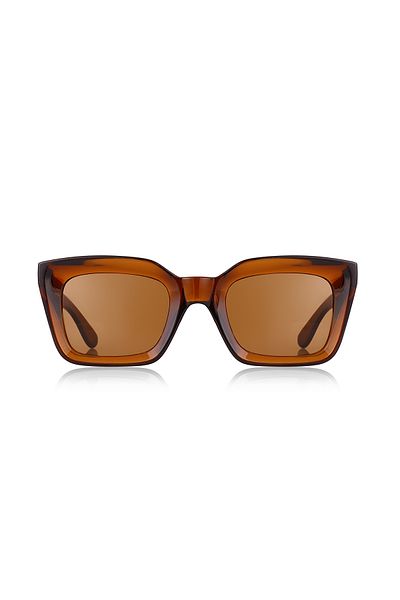 Kinary Unisex Sunglasses Brown Shiny 1025