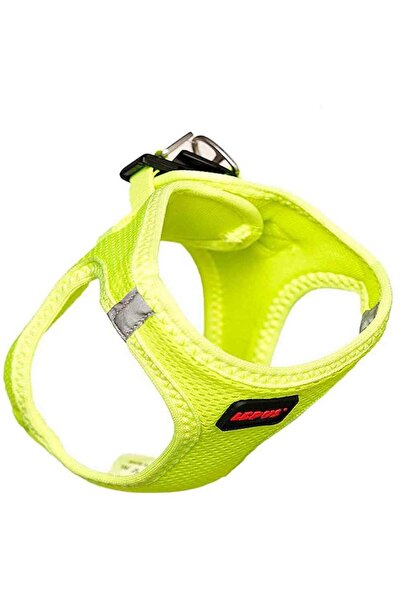 Lepus طوق للكلاب والقطط باللون الأخضر الفاتح - S