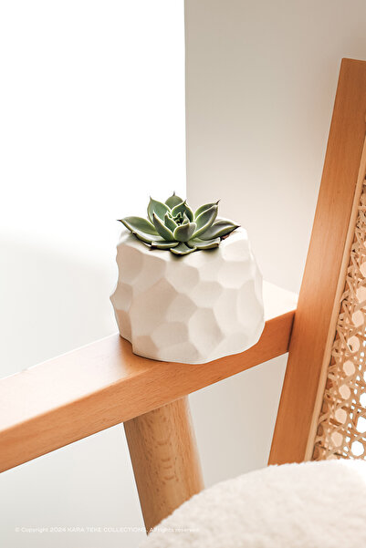 Modern Rock Look Decorative Concrete Succulent Flower Pot (BEIGE - OFF-WHITE)