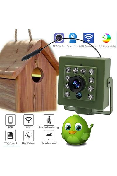 Choice كاميرا واي فاي خضراء للطيور صوت 1920 بكسل 1080 بكسل IR CUT رؤية ليلية RTSP FTP Mini IP IPC عش الحيوانات الأليفة Bi...