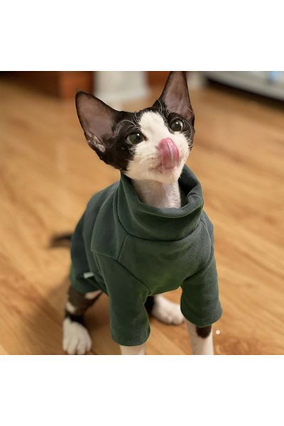 Choice S Green Sphynx Cat Clothes Baby Soft Cotton Fall Winter Kitten Small Dog Clothes For Cornish Devon C