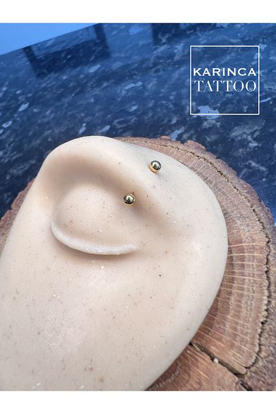 Karınca Piercing Gold Color Eyebrow Ear Tragus Snug Daith Cartilage Helix Piercing 6 Mm Smallest Size