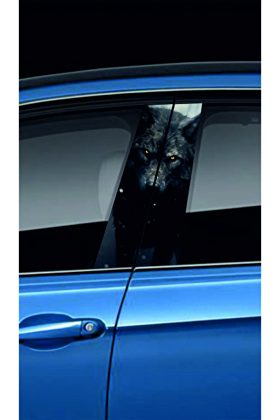 NEON Dijital Baskı Merkezi Araç Kapı Direk Kaplama Folyosu (Sağ Sol Takım) (2 Adet) - 22x52 Cm