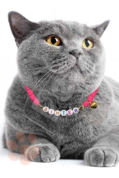 Petella Isimli Kedi Boyun Tasması Kedi Kolyesi Zilli Kedi Tasması Ayarlanabilir Gold Kalp Detaylı