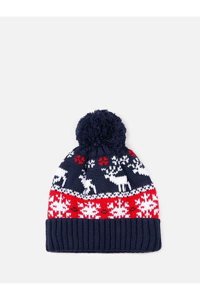 Colin's Men's Multicolor Beanie
