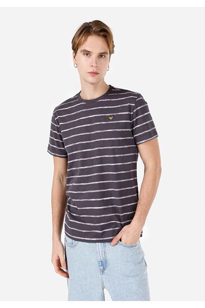 Colin's Regular Fit Round Neck Striped Men's Anthracite Short Sleeve T-Shirt