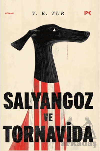 Profil Kitap Salyangoz Ve Tornavida Veysel Karani Tur