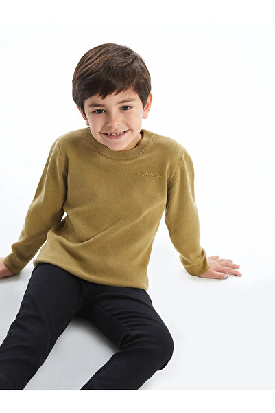 LC Waikiki Lcw Kids Khaki Crew Neck Printed Boy's Knitwear Sweater