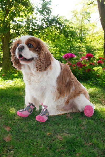 PawPrints Kışlık Su Geçirmez Köpek Ayakkabısı, Deri Köpek Botu, Kauçuk Taban Köpek Ayakkabısı