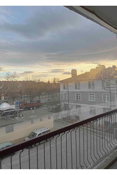 Asenya Kuş Filesi 2,5x5,5 M Balkon Filesi Kedi Filesi Koruma Filesi Dolu Filesi File Kuş Önleme Filesi