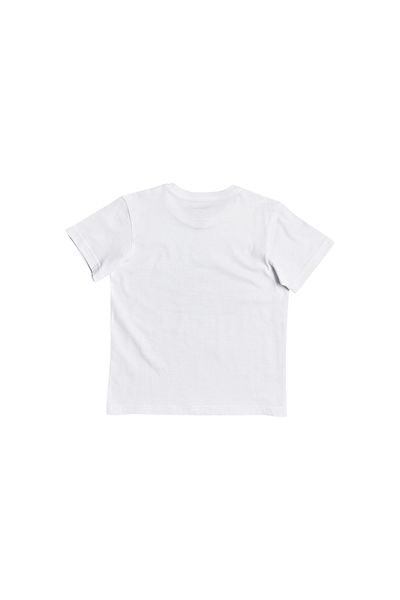 Quiksilver Rdıgtaltımssboy K Tees