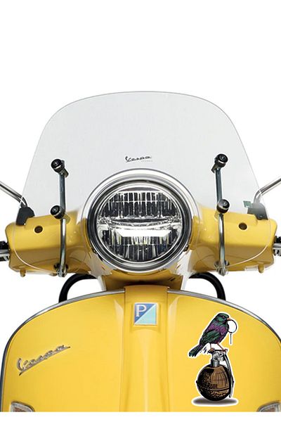 MegaSticker Autocolant Bomber Bird pentru mașină, motocicletă, cască, laptop, parbriz 13x11 cm