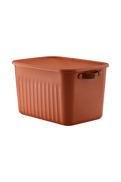 LIUWA Multipurpose Organizer, Box with Lid, Decorative Storage Box, Bathroom Kitchen Toy Organizer